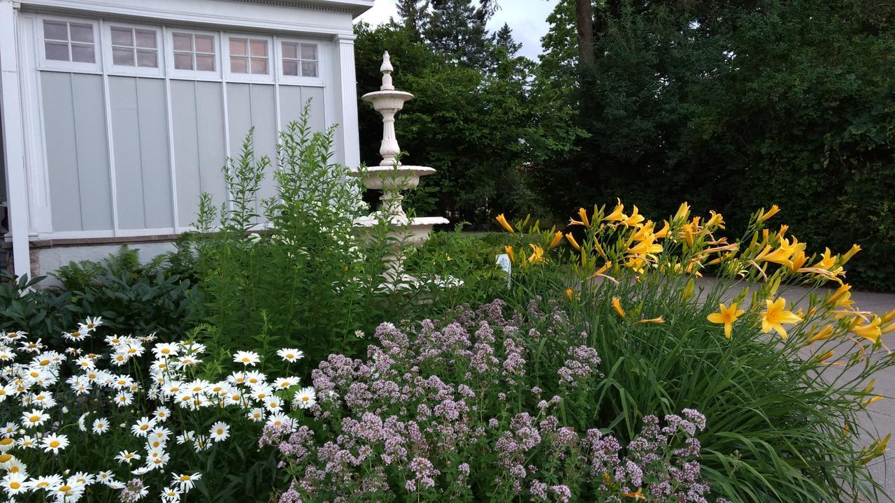 อเล็กซานเดอร์ แมนชั่น เบด แอนด์ เบรคฟาสต์ Bed & Breakfast วิโนนา ภายนอก รูปภาพ