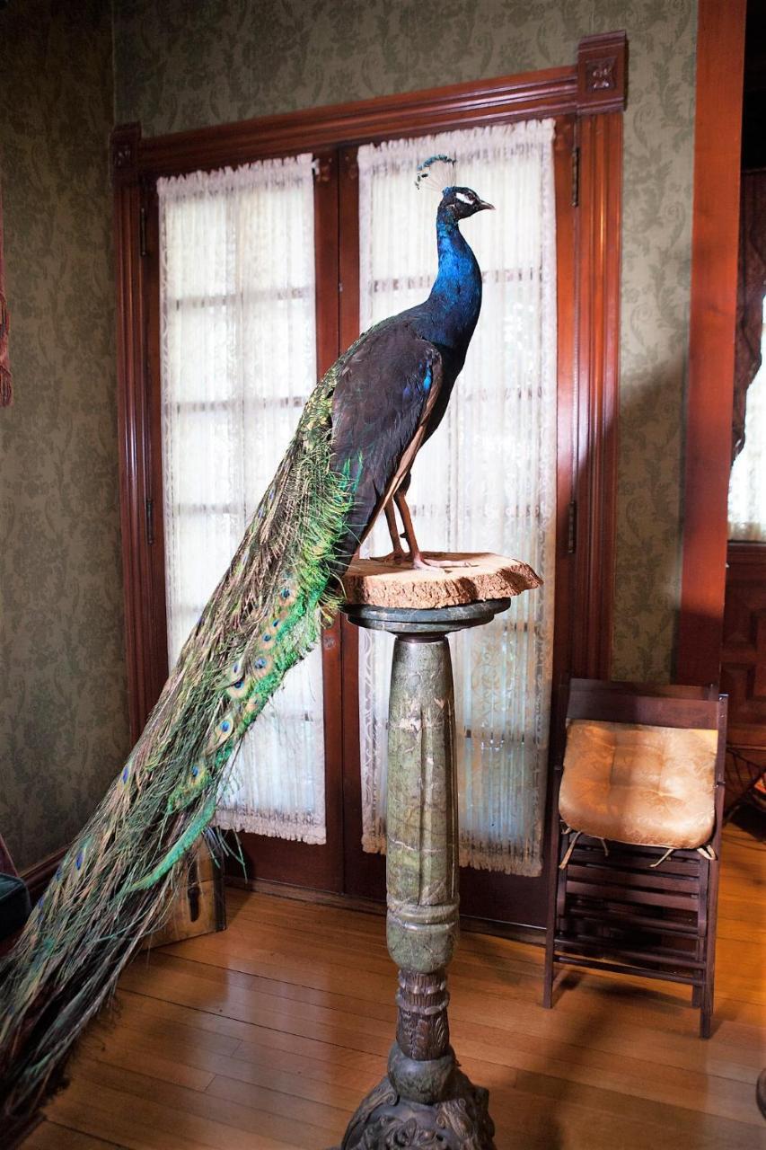 อเล็กซานเดอร์ แมนชั่น เบด แอนด์ เบรคฟาสต์ Bed & Breakfast วิโนนา ภายนอก รูปภาพ